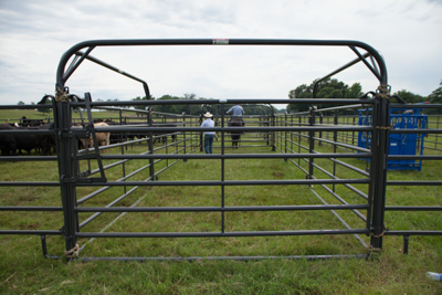 8' Premier Free Swing Bow Gate - Image 4