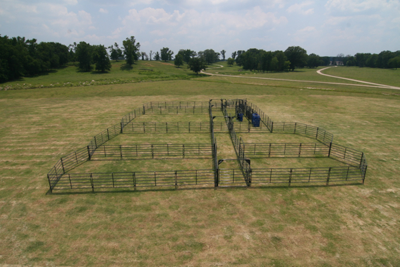 Rough Stock Open Corral - 250 Head w/Calf Table - Image 4