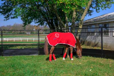 Premium Round Pens - Image 2