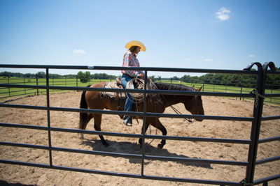 Premier Round Pens - Image 6