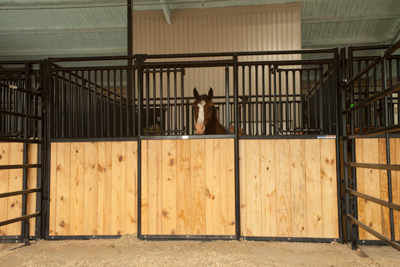 Premier Stall Fronts Bar/Wood - Image 15