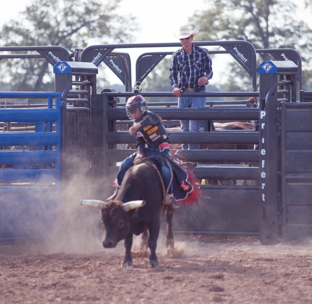 Adjust-a-Bull Bucking Chute - Image 0