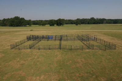 Rough Stock Open Corral System - 250 Head - Image 1