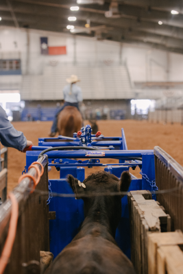 Manual Calf Roping Chute - Image 12