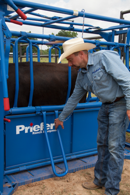 Squeeze Chutes - Model S0191 - Image 8