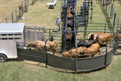 8' Solid Sweep Bow Gate - Image 6