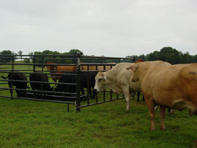 Feed Bunk Liner - Image 1