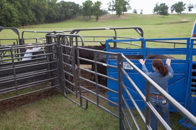 8' Solid Sweep Bow Gate - Image 4