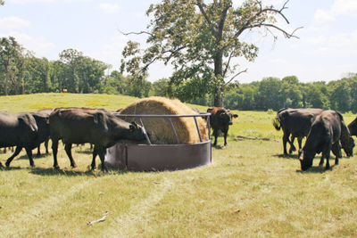 Heavy Duty Round Bale Feeders - Image 1