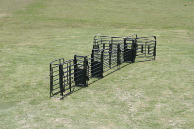 Sweep w/38' Adjustable Alley, Preg Panels, Block Gates & Scale Section - Image 3