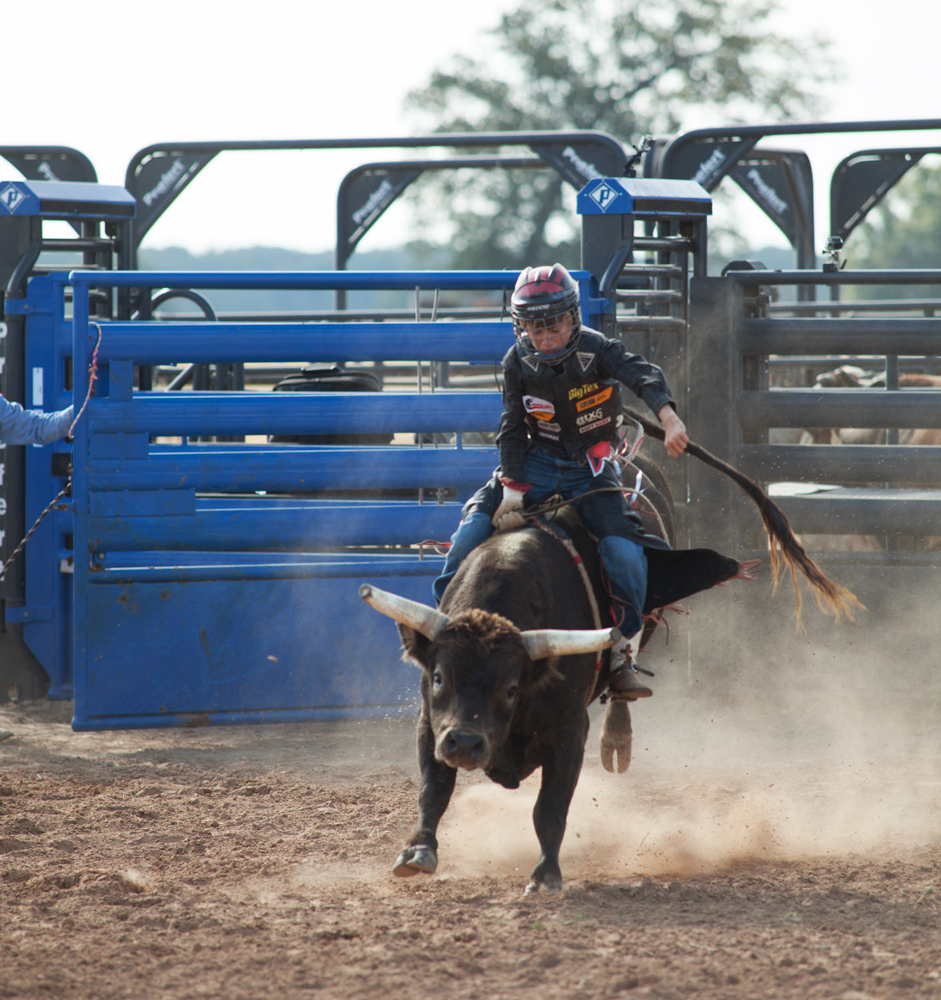 Adjust-a-Bull Bucking Chute - Image 2