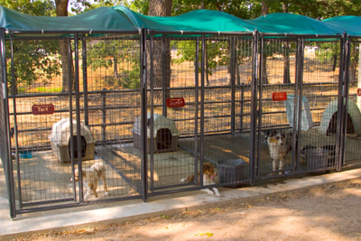 Kennel Shades and Support Bows - Image 2