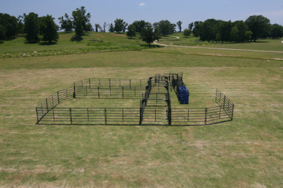 Rough Stock Open Corral System - 100 Head - Image 1