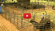 How To Install A Priefert Open Sweep System