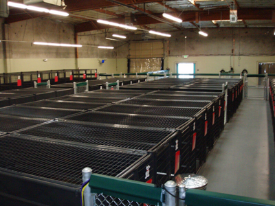 Kennel Tops & Adapters - Image 4