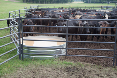 Round Galvanized Water Tanks - Image 4