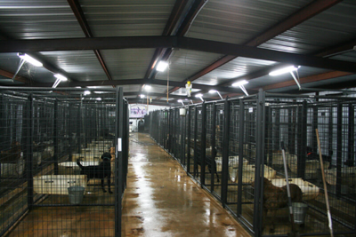 6' Tall Premier Kennel Kits - Image 5