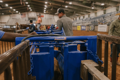 Manual Calf Roping Chute - Image 4