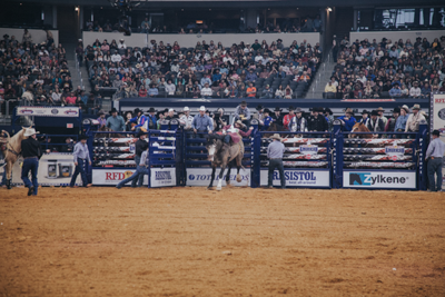 Bucking Chute - Image 19
