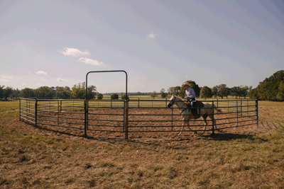 Economy Round Pens - Image 3