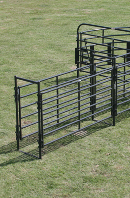Rough Stock Alley Frame - Image 0