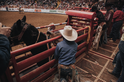 Bucking Chute - Image 16