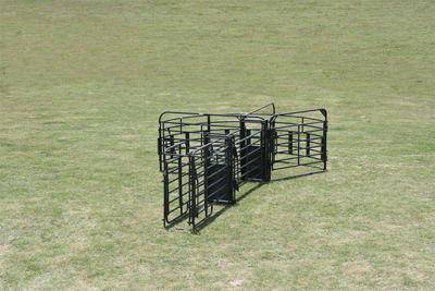 Sweep w/20' Adj. Alley, Preg Panels, Block & Load Gates - Image 3
