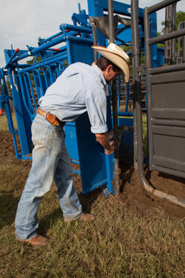 Adjustable Alley Frame w/Squeeze Chute Attachment - Image 4