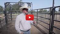 Priefert Cattle Working System Demo