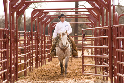 9' Tall Rough Stock Bow Gates - Image 5