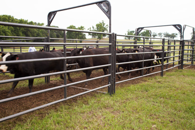 Rough Stock Bow Frames - Image 1