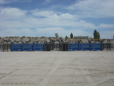 Add-on Bucking Chute - Image 7