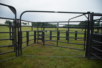 Rough Stock Open Bow Gate - Image 5