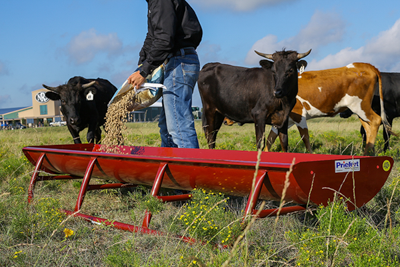 10' Bunk Feeder w/Powder Coated Metal Liner - Image 7