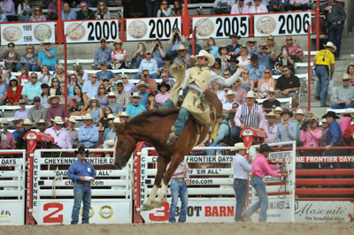 Bucking Chute - Image 11