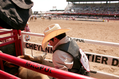 Add-on Bucking Chute - Image 13