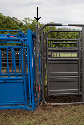 Adjustable Alley Frame w/Squeeze Chute Attachment - Image 6