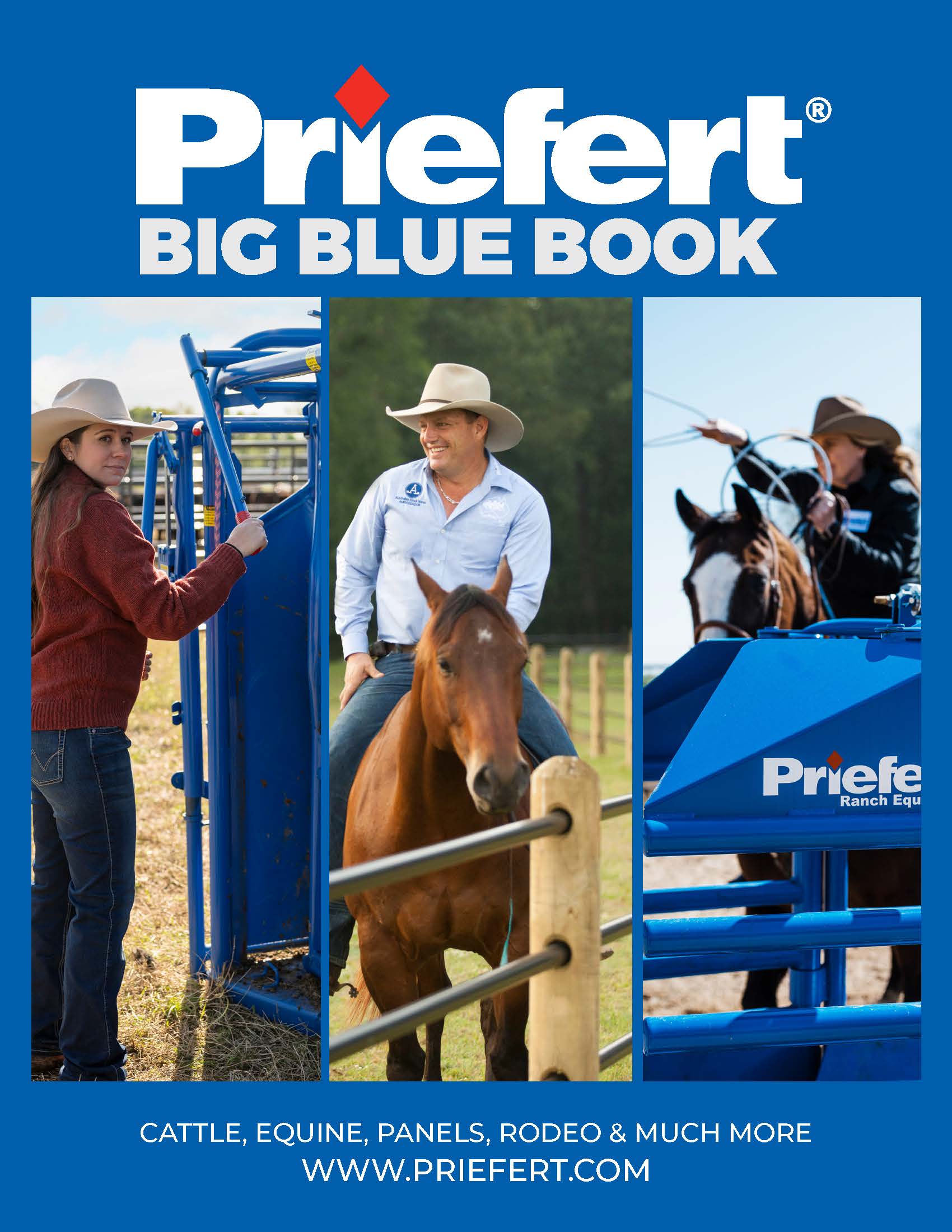 The Big Blue Book