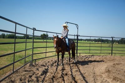 6' Tall Premier/Mustang Panel Round Pens - Image 3
