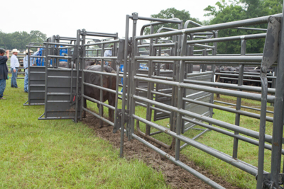 Adjustable Alley Gate - Image 6
