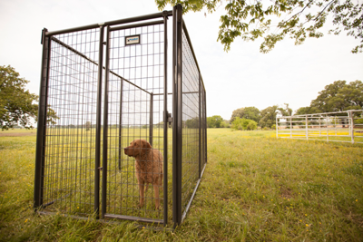 Kennel Connectors - Image 4