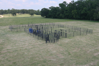 Rough Stock Open Corral - 250 Head w/Calf Table - Image 3