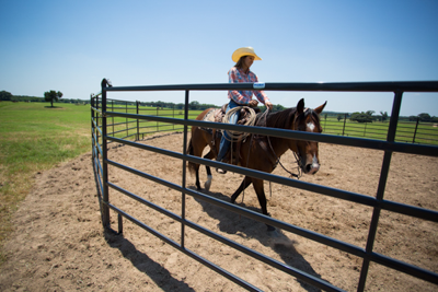 Premier Round Pens - Image 5