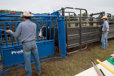 Adjustable Alley Frame w/Squeeze Chute Attachment - Image 0