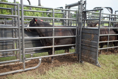 Adjustable Alley Gate - Image 3