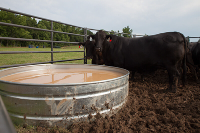 Round Galvanized Water Tanks - Image 5