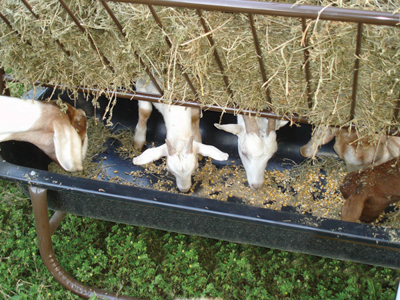 Feed Bunk Liner - Image 3