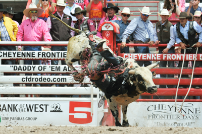 Bucking Chute - Image 5