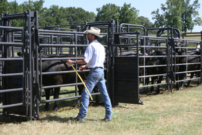 Sweep w/20' Adj. Alley, Block & Load Gates - Image 5