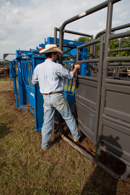 Sheeted Preg Panel w/Sorting Gate - Image 5